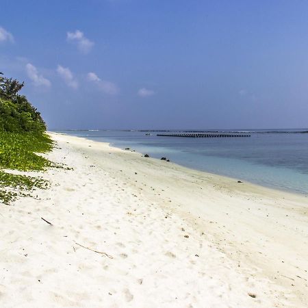 Newtown Inn Hulhumalé Eksteriør billede